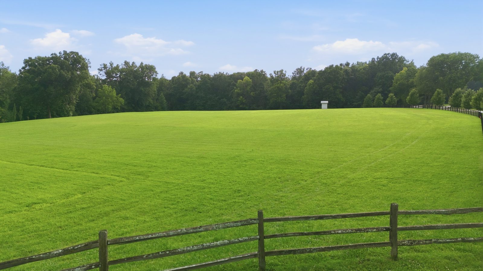 Fenced pasture in Williamson County horse country
