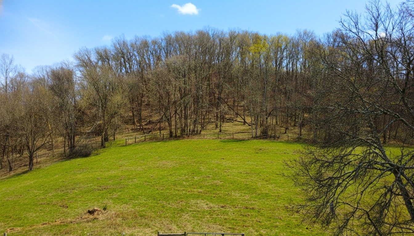 The wooded hill rising above the approximate building site